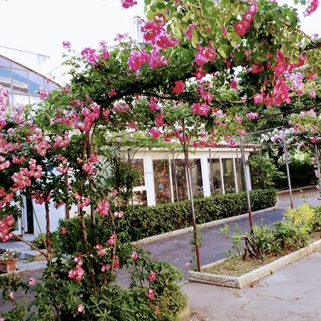 Pina - Vicino Al Mare Con Giardino E Parcheggio Hotel 3*