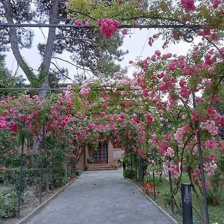 Pina Otel Senigallia